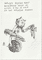 robot-glowa-do-luczka-2025-a5